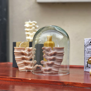 Make a spinal statement with these delicate human spine candles. Gorgeous in the flesh, these quirky soy wax candles are all individually mixed and poured - making each one unique just like a real human spine! Available in light brown, dark brown or white.