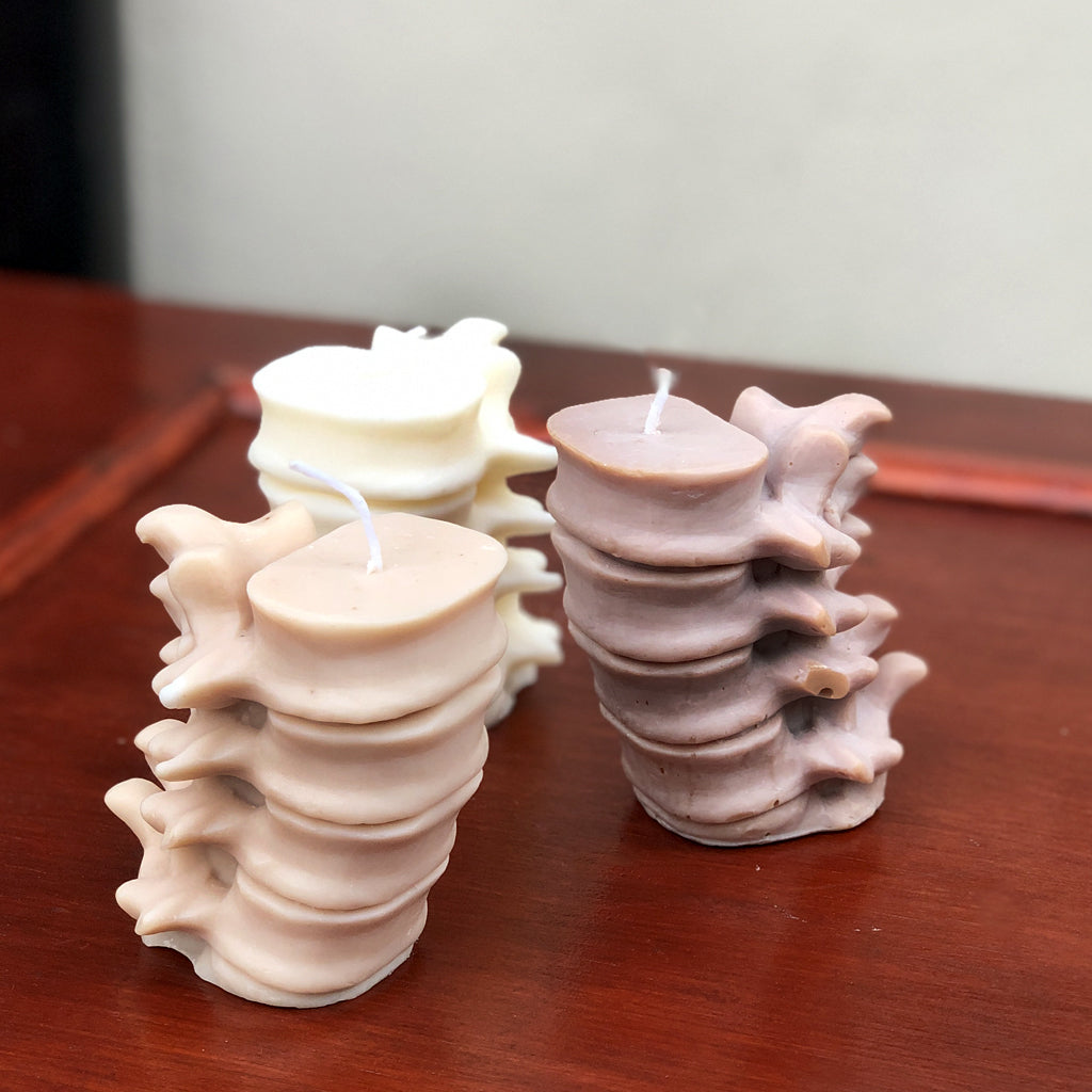Make a spinal statement with these delicate human spine candles. Gorgeous in the flesh, these quirky soy wax candles are all individually mixed and poured - making each one unique just like a real human spine! Available in light brown, dark brown or white.