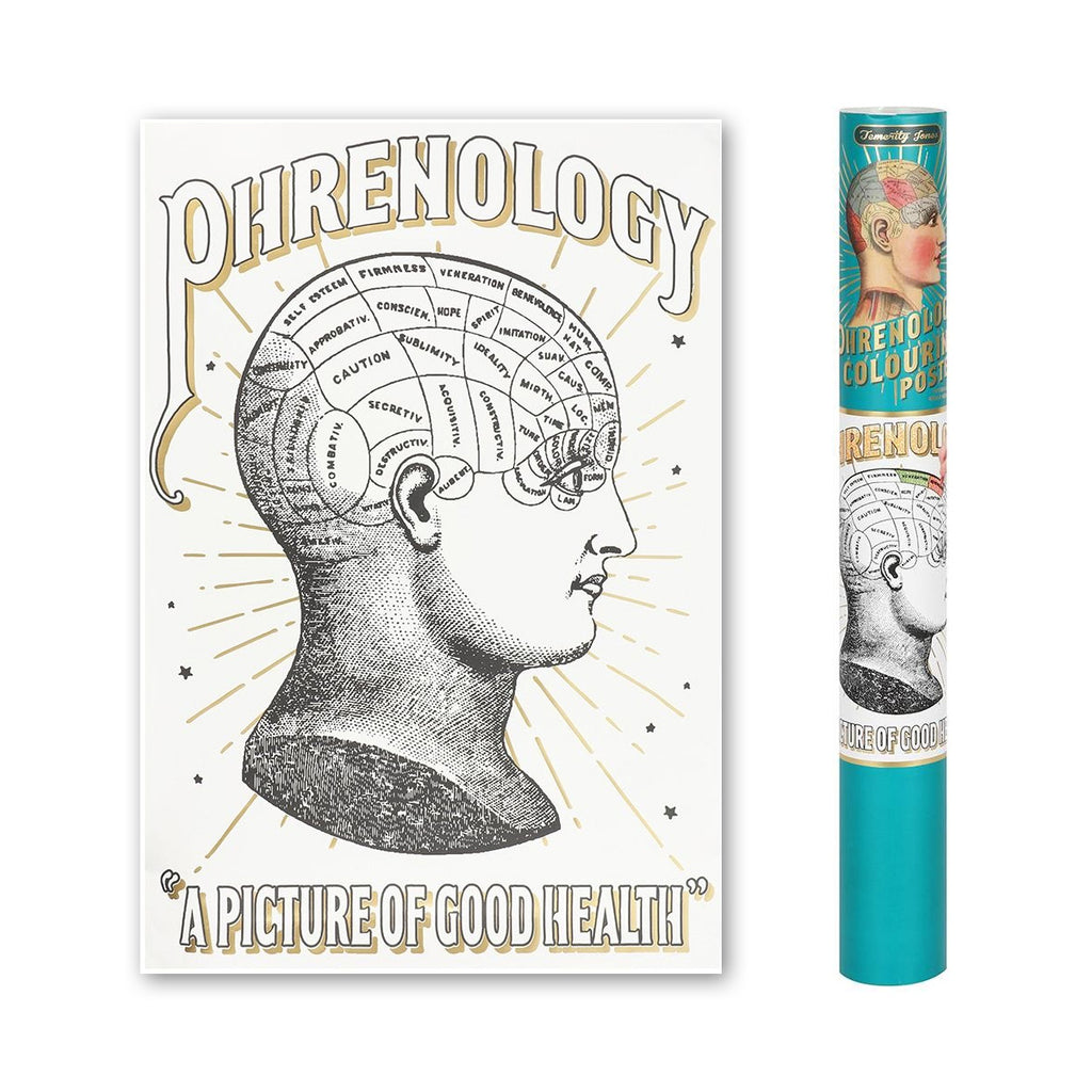 A picture of good health! People will love studying the pseudoscience of phrenology with this gorgeous colour-in poster. This vintage-inspired, labelled illustration features gold leaf accents and can be easily framed both coloured and uncoloured. Perfect for yourself to take some time out and chill with, or great as a gift for a loved one who might need a break! This poster is presented in matching cardboard tube.