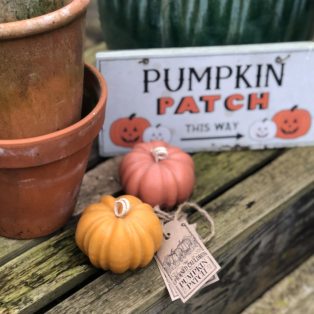 Freshly picked from The Upturned Cauldron's garden, these potent pumpkin candles are available in two festive colours and smell gorgeous! These beauties conjure up creamy pumpkin, juicy berries, sweet cherry apple, lemon, orange and pear, with a sprinkling of our favourite - cinnamon and clove! 