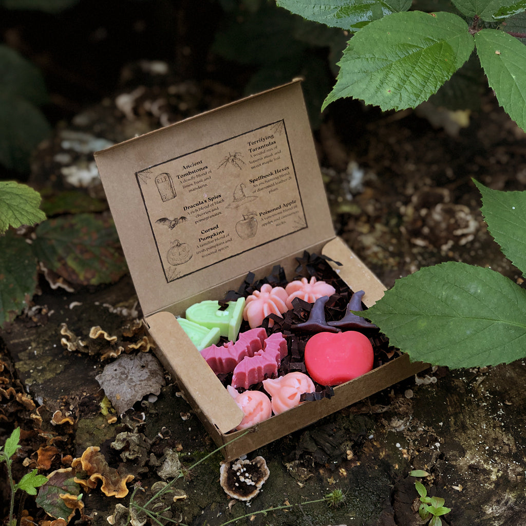 Hocus Croakus & Treats To Sink Your Teeth Into! The Halloween Shop Is Live!