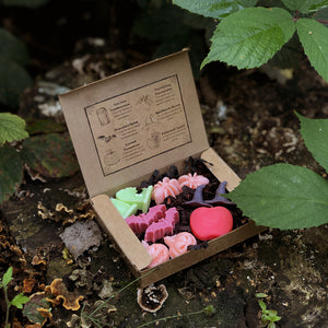 Hocus Croakus & Treats To Sink Your Teeth Into! The Halloween Shop Is Live!