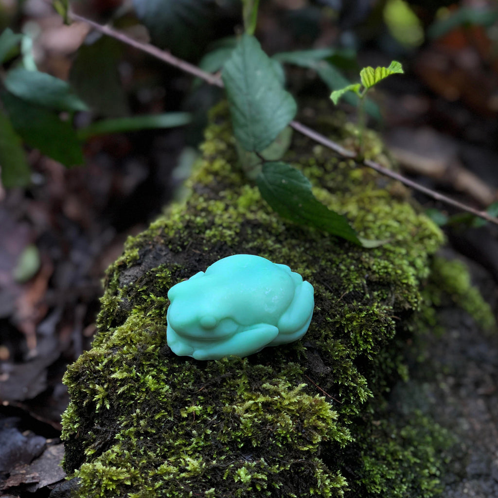 Meet our fantastic frog-familiars! This box of 5 eucalyptus and clove scented soy wax melts are the perfect cleansing scent for your space. From the minds at Bookshelf Burns, this fresh fragrance is perfect for bringing the magic of the outdoors in!