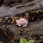 Load image into Gallery viewer, This box of 5 chocolate and honey scented soy wax melts are toad-ally magical! From the minds at Bookshelf Burns, this delicious fragrance is sure to evoke thoughts of a trip to the nearest magical chocolate shop, and would make a fantastical addition to the perfect witchy kitchen!
