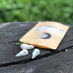 Load image into Gallery viewer, Fragranced with deliciously bewitching black pomegranate, each bag of bones contains 10 delicate bird skulls from the marvellous minds at Moonlight Homemade Candles! A perfect gothic gift or great to add to your collection of curiosities.. (and perhaps too cute to burn!)
