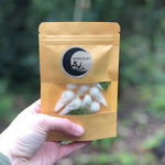 Load image into Gallery viewer, Fragranced with deliciously bewitching black pomegranate, each bag of bones contains 10 delicate bird skulls from the marvellous minds at Moonlight Homemade Candles! A perfect gothic gift or great to add to your collection of curiosities.. (and perhaps too cute to burn!)
