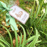 Load image into Gallery viewer, Add some sparkle this spring with these delicious milk chocolate balls wrapped in gold foil (150g) Perfect for a token gift or to jazz up a your Easter basket - these creamy chocolate treats are the perfect gift from the Easter Bunny (we think!)
