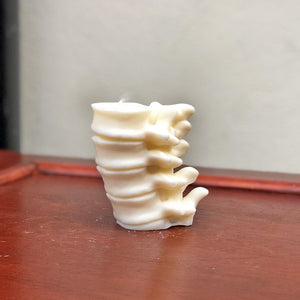 Make a spinal statement with these delicate human spine candles. Gorgeous in the flesh, these quirky soy wax candles are all individually mixed and poured - making each one unique just like a real human spine! Available in light brown, dark brown or white.
